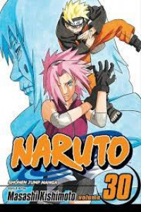 Image of Naruto Volume 30