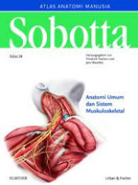 Image of Sobotta : Anatomi umum dan sistem muskuloskeletal