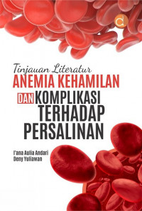 Image of Tinjauan Literatur Anemia Kehamilan dan Komplikasi Terhadap Persalinan